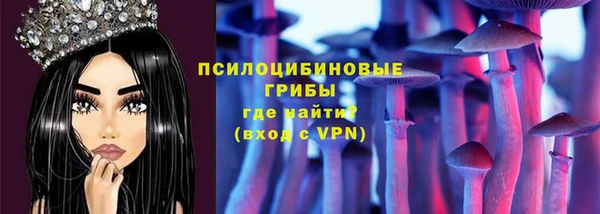 стафф Алзамай