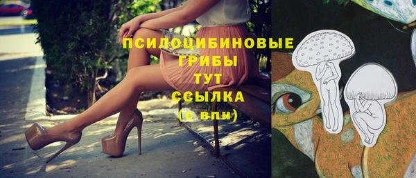 мет Алексин