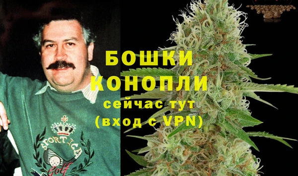 мет Алексин