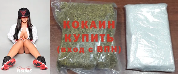 стафф Алзамай