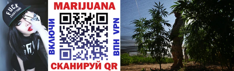 Бошки марихуана SATIVA & INDICA  продажа наркотиков  Кропоткин 